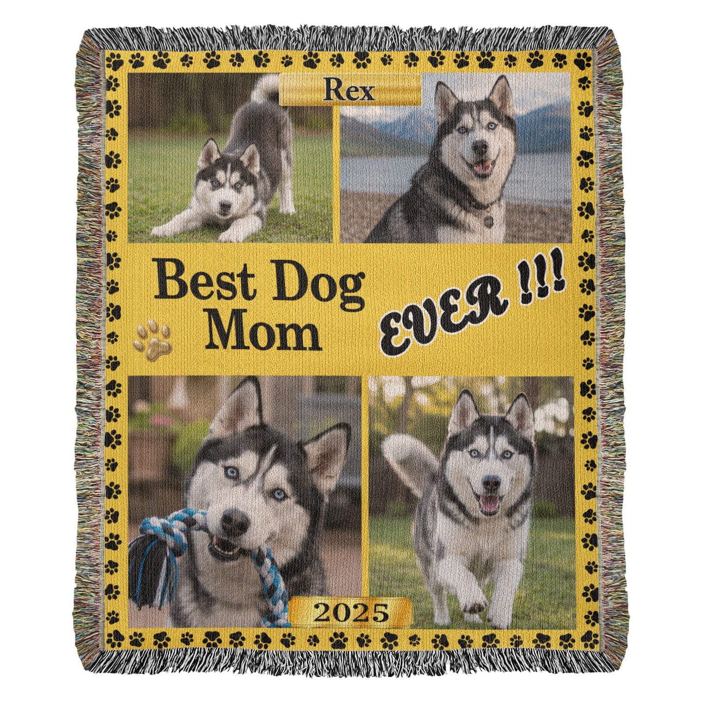 Best Dog/Cat Person
