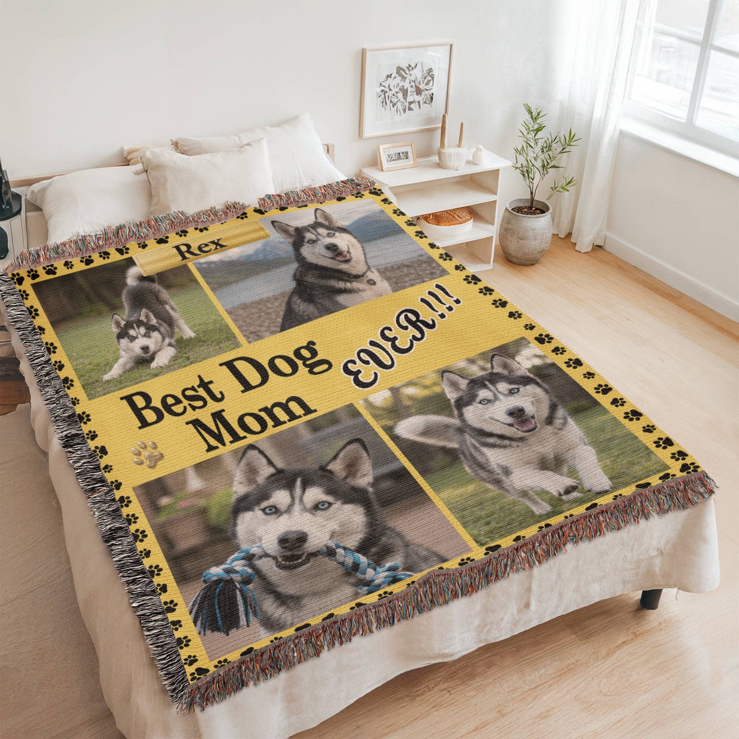 Best Dog/Cat Person