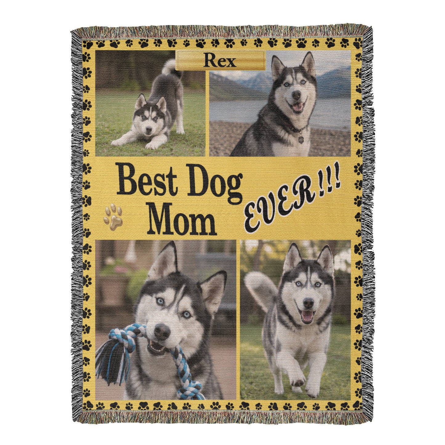 Best Dog/Cat Person