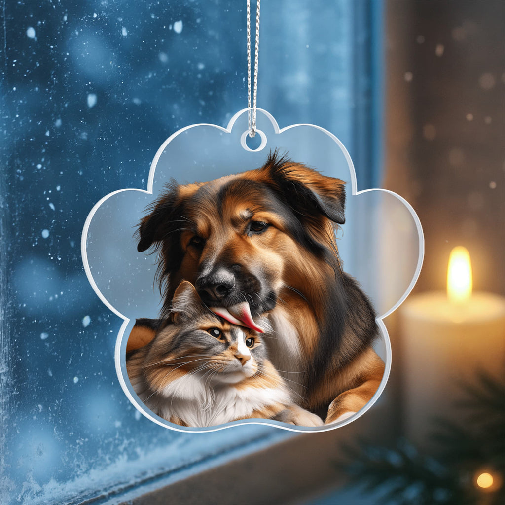 Dog Loves Cat
